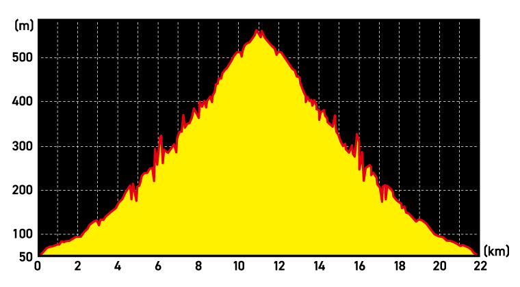 ハーフマラソンコース高低図